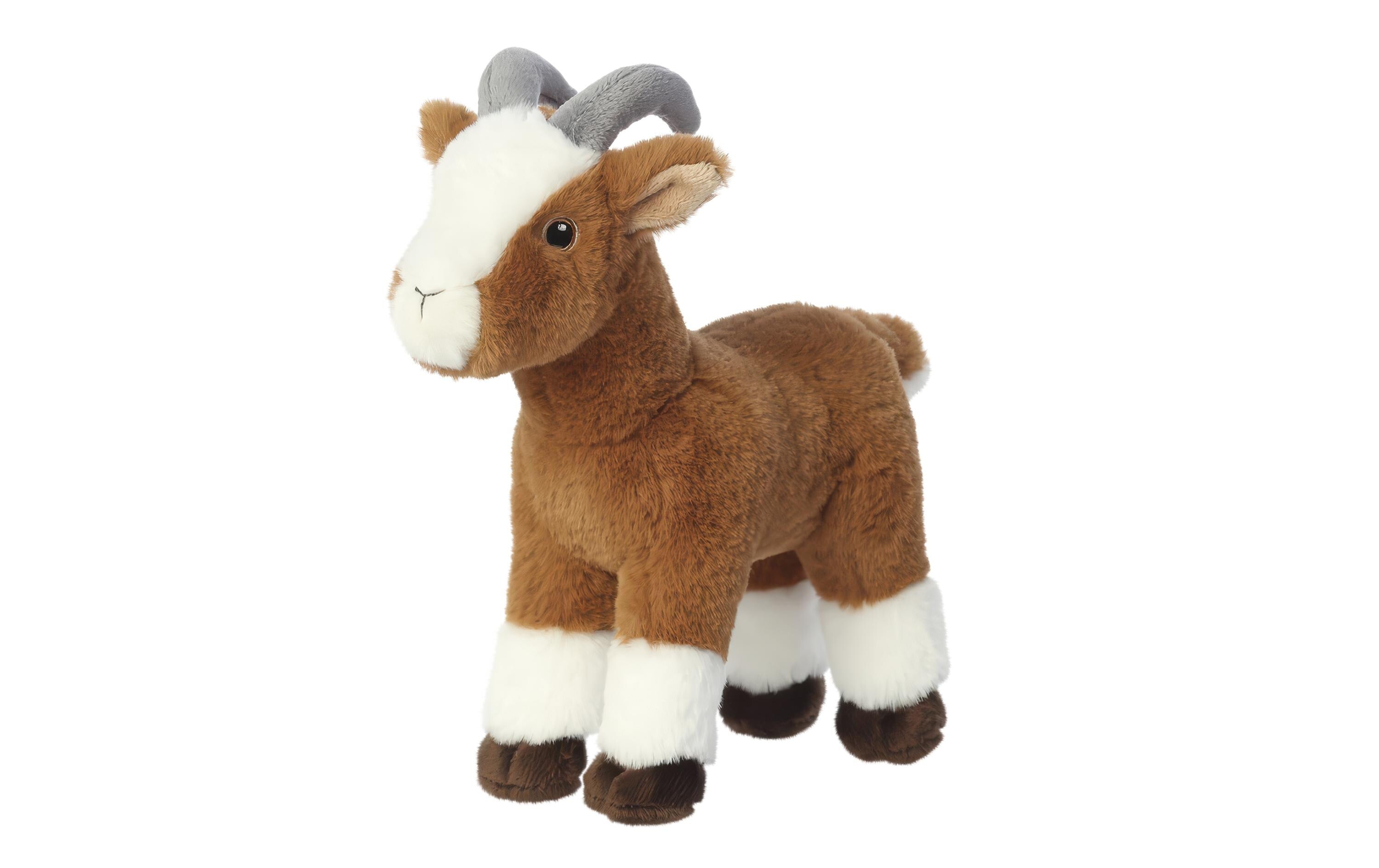 Eco Nation Goat