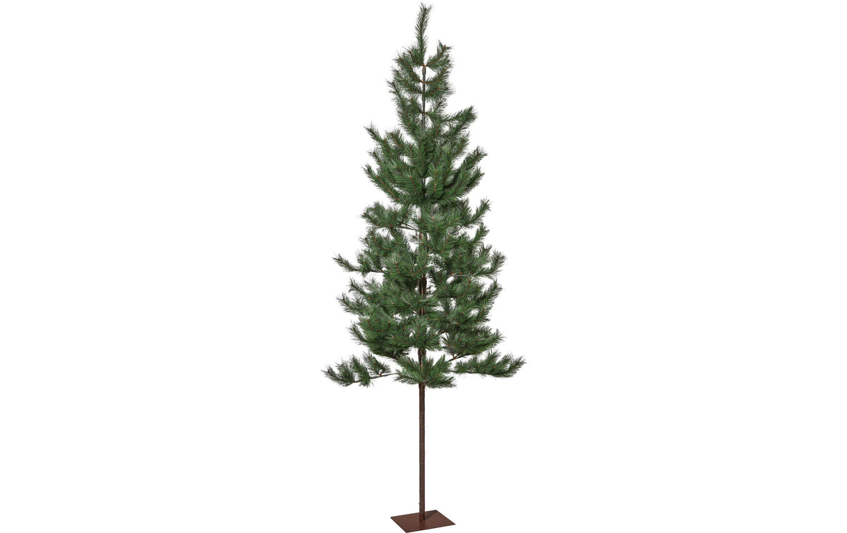 Weihnachtsbaum Tallis Indoor, Grün, 200cm