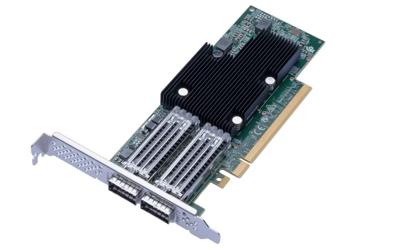 Synology P2100G Dual-port 100GbE adapter