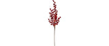 Star Trading Rosso