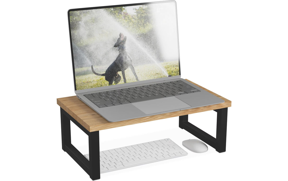 Relaxdays Monitorständer Industrial Design