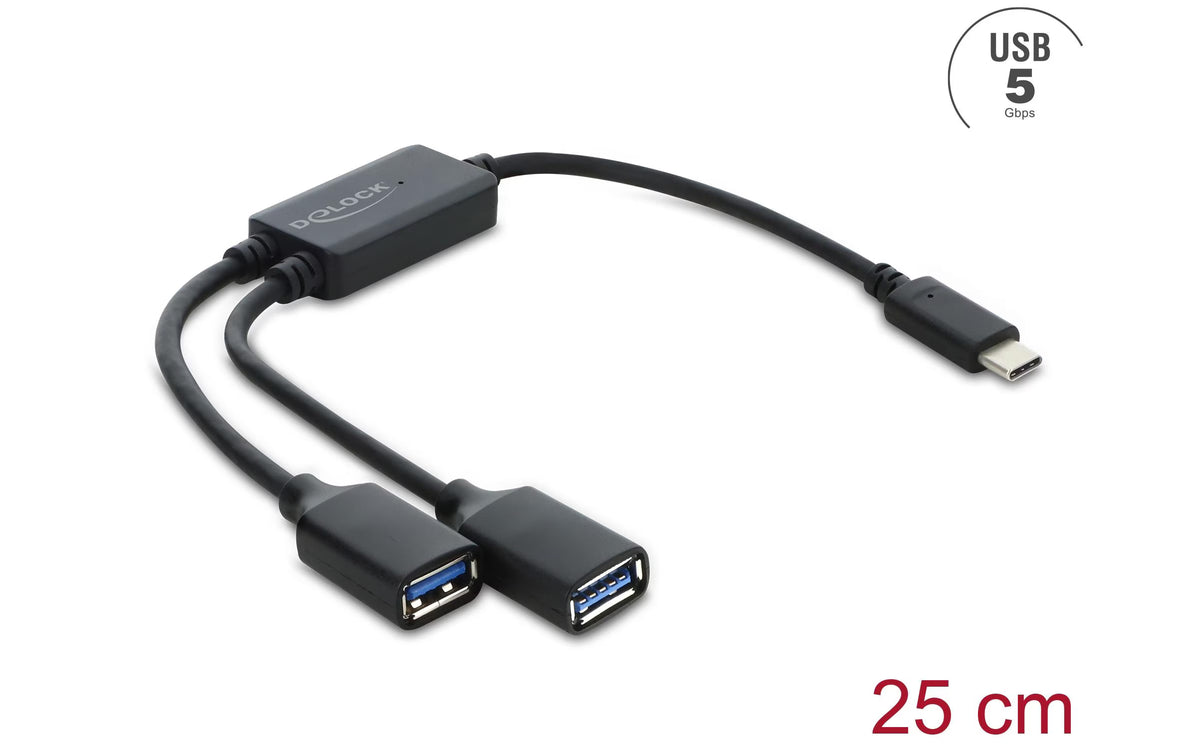 Delock USB Hub, 2 Port, 5 Gbps, 1xC, 2xA