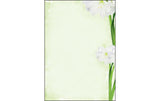 Sigel Motiv-Papier Green Flower A4