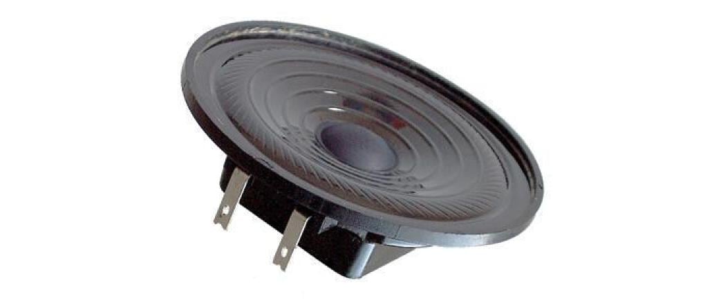 Visaton Breitbandlautsprecher K 64 WP,8 Ohm