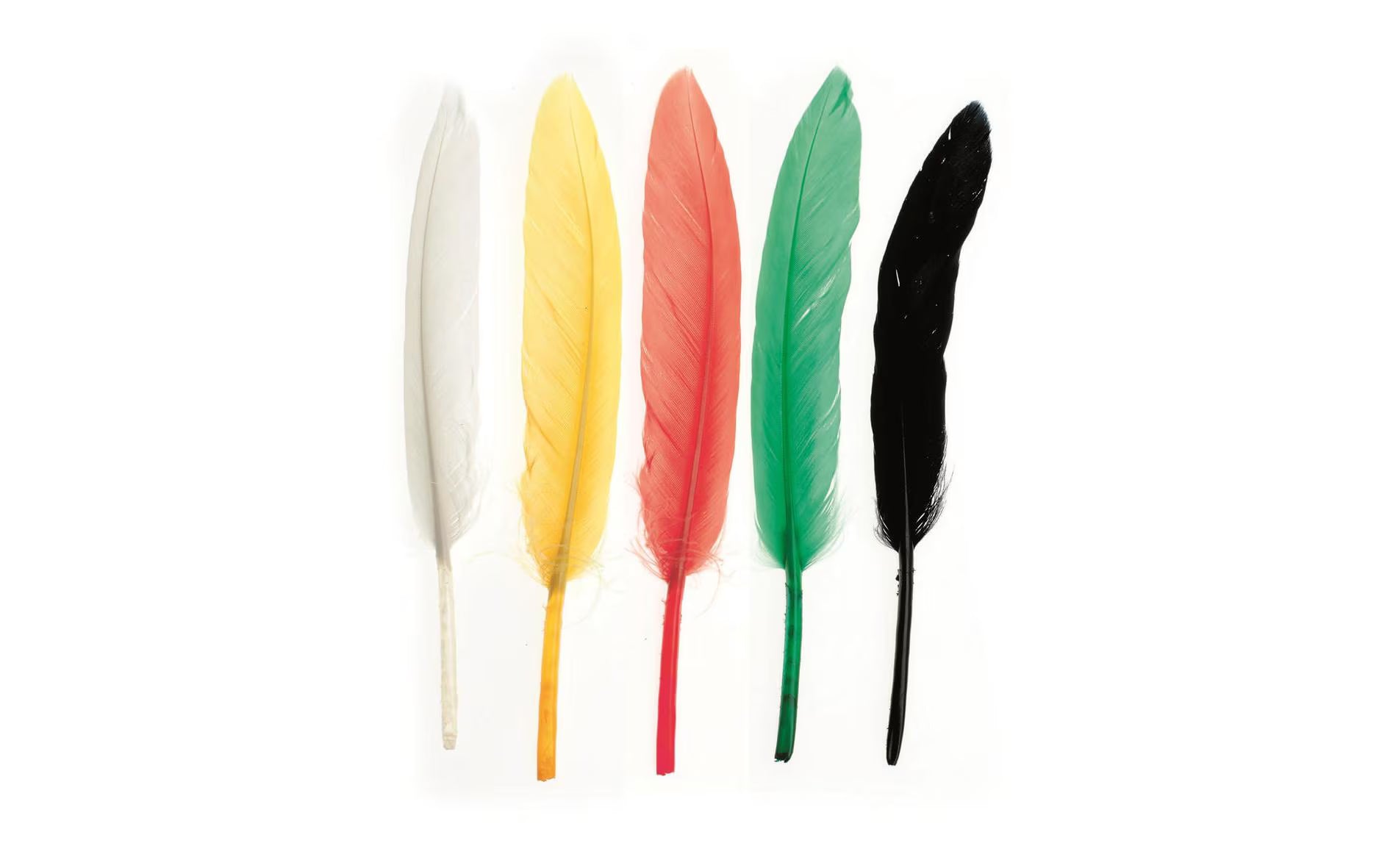 Glorex Indianerfeder