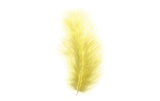 Glorex Federn Marabu