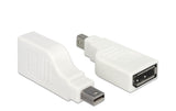 Mini-Displayport zu Displayport Adapter, 4K