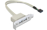 Delock Slotblech USB 2.0 Pin Header
