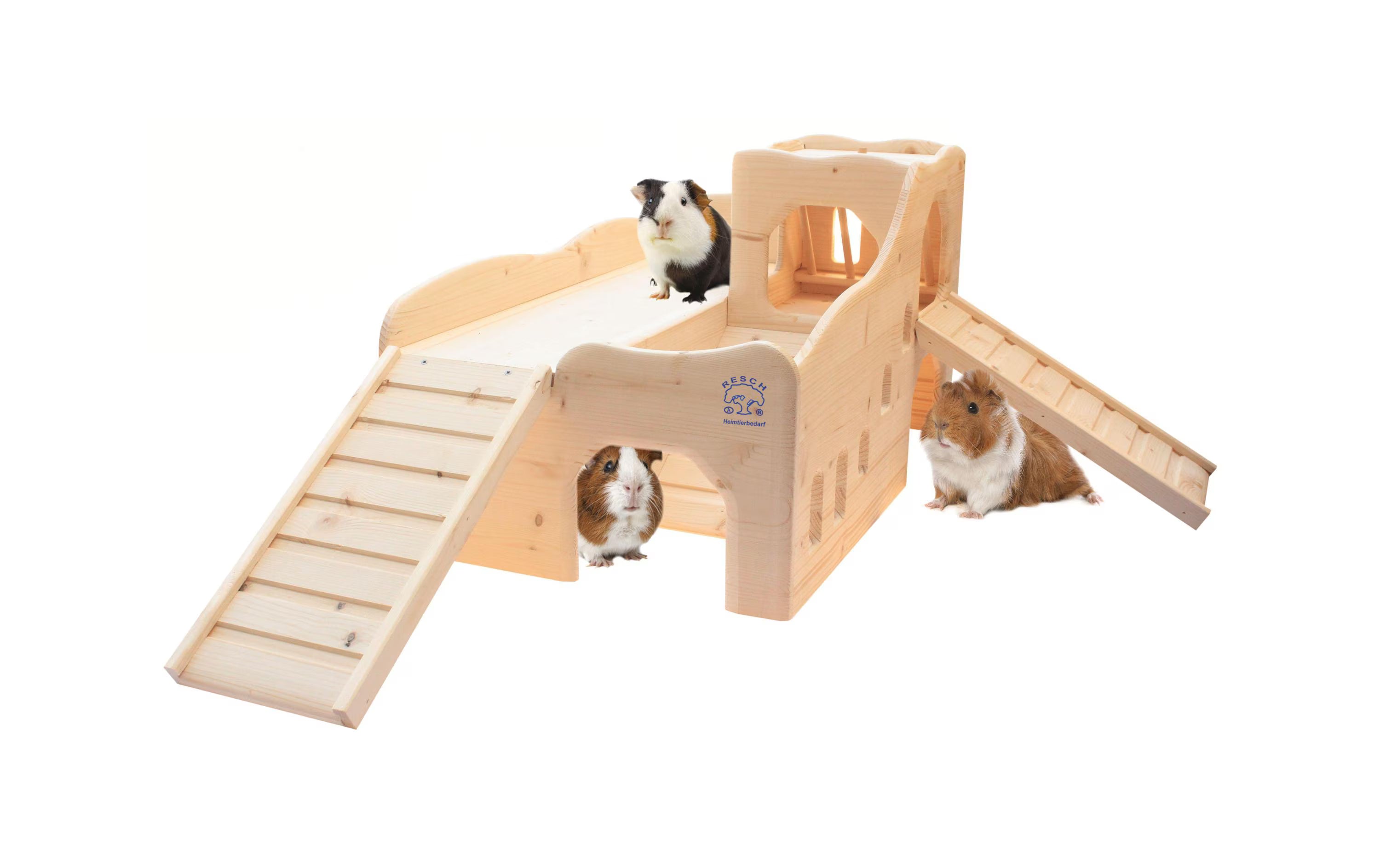 Resch Meerschweinchen Erlebnisburg