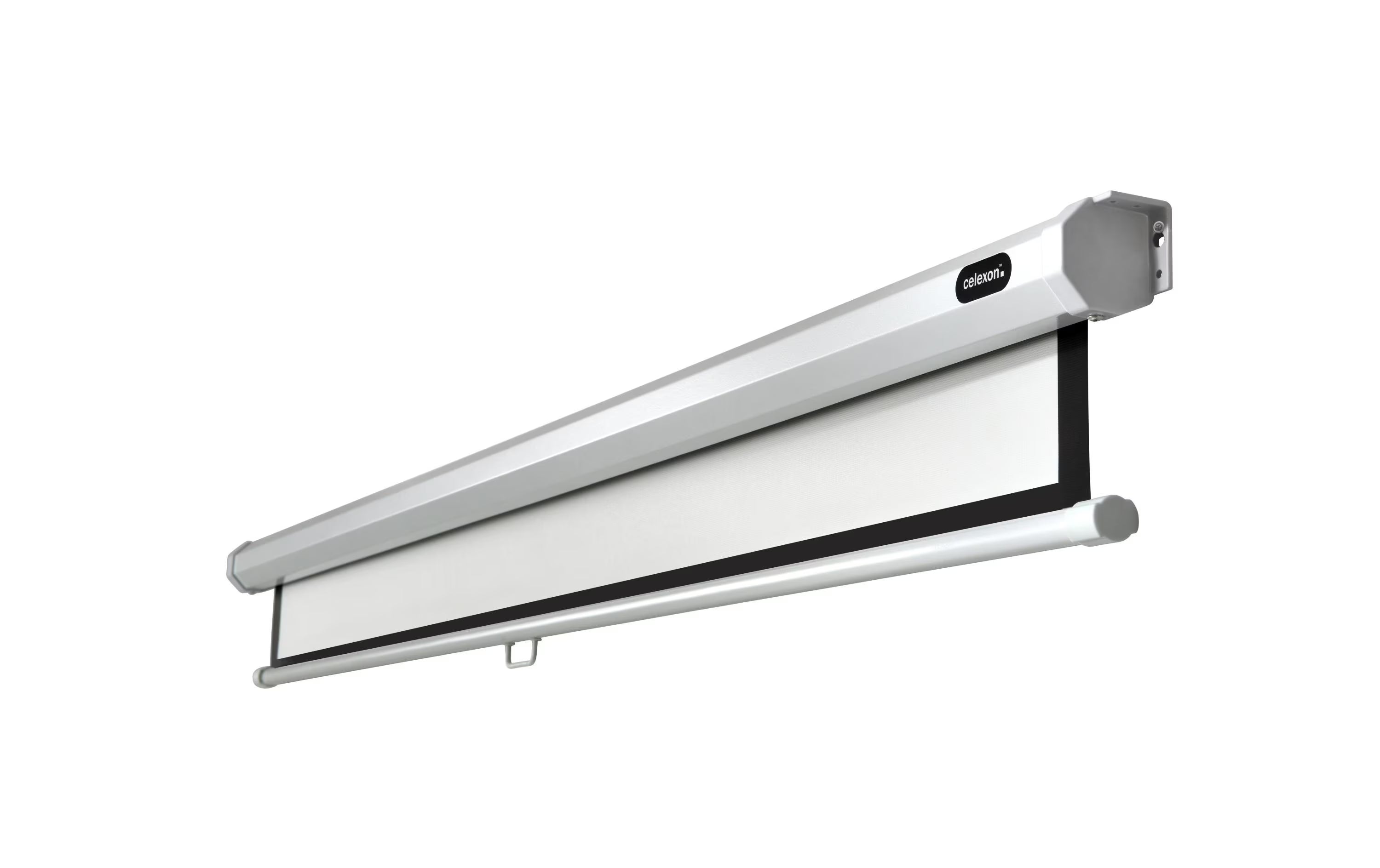 Celexon Rollo-Leinwand Eco