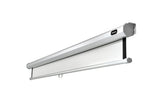 Celexon Rollo-Leinwand Eco