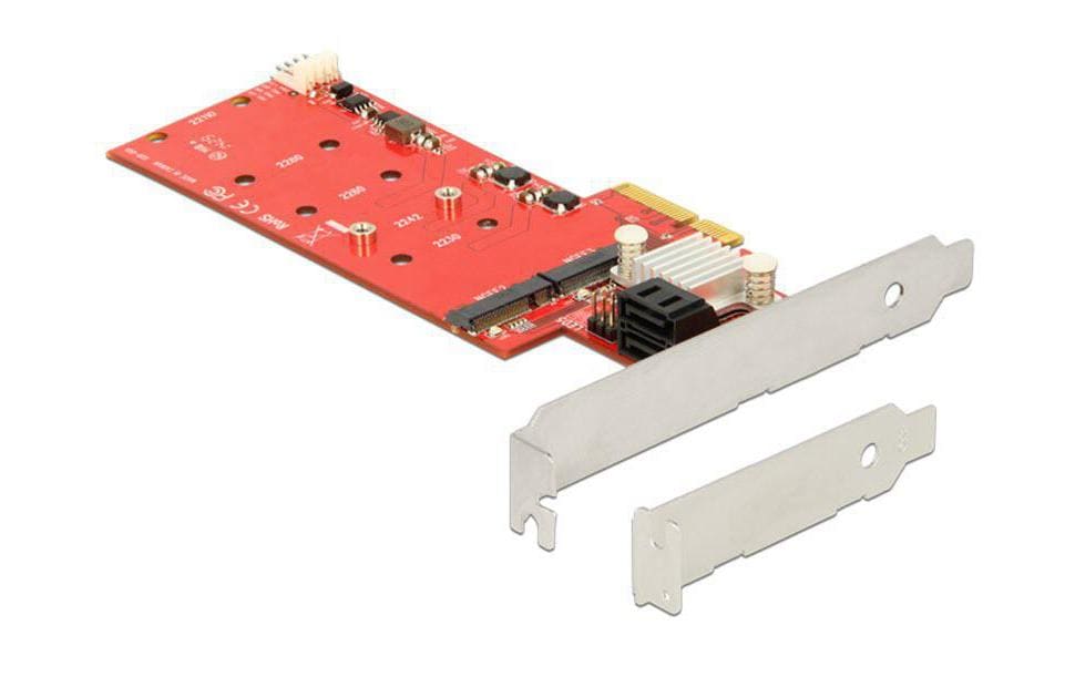 DeLock PCI-Express-x4 RAID-Kontroller