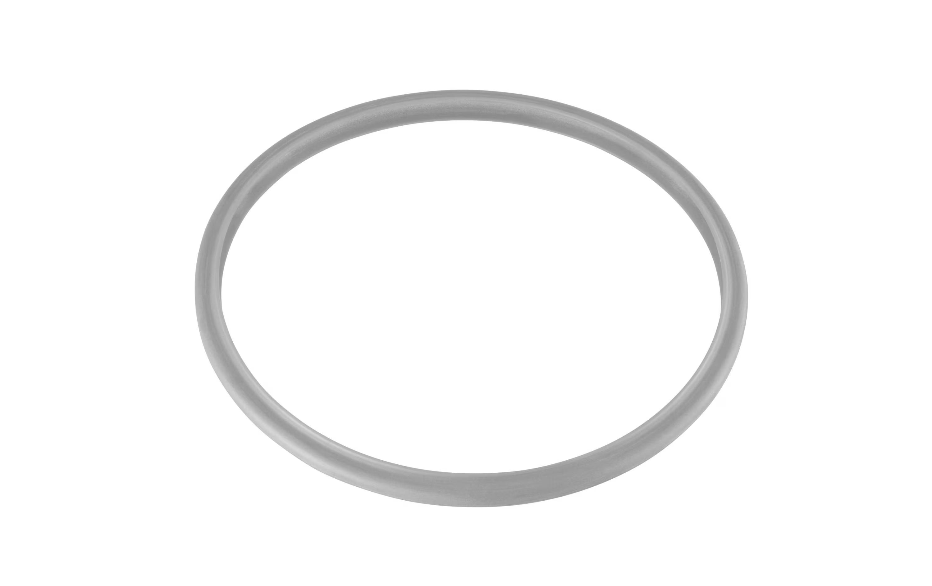 WMF Dichtungsring 22cm
