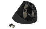 Delock 12599 Ergonomische USB Maus