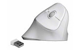 Delock 12596 Ergonomische USB Maus