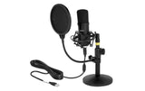 Delock USB Kondensator Mikrophon Set