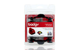 Evolis Komplettes Set für 100 Prints