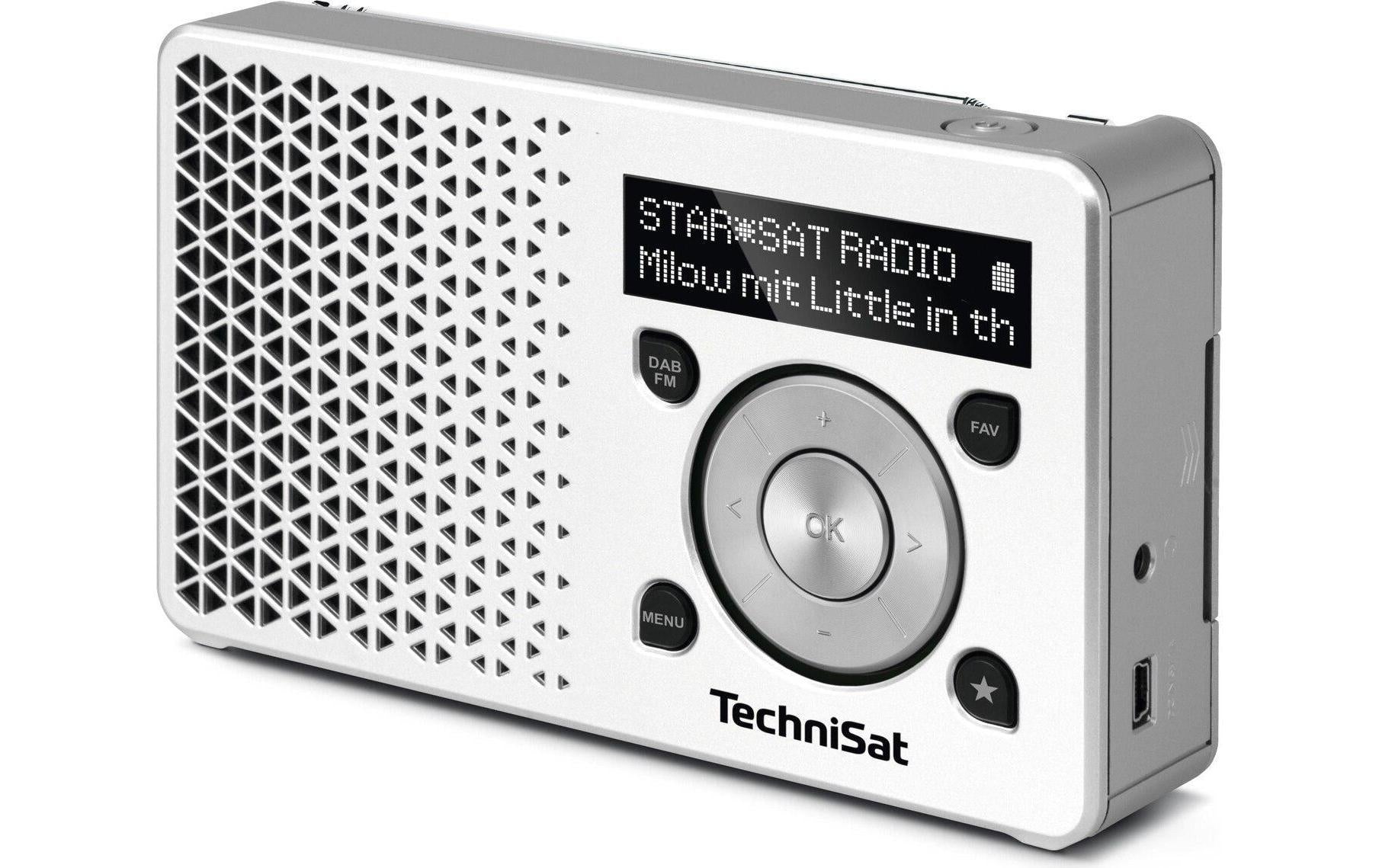 Technisat DigitRadio 1, DAB+ RAdio