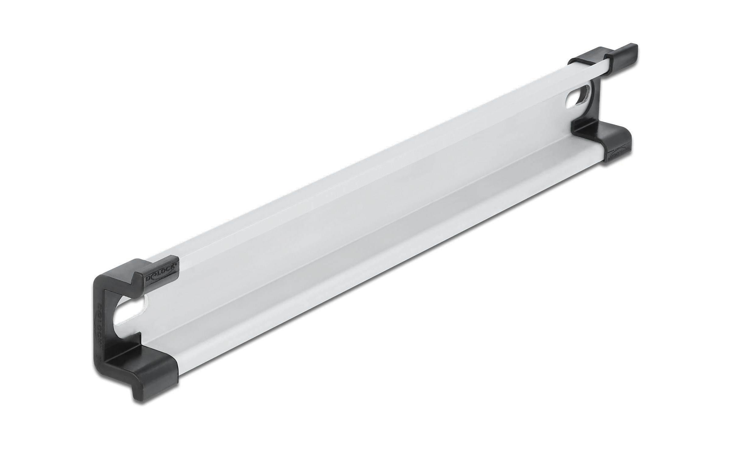 Delock Hutschiene 25cm, Befestigungslöcher