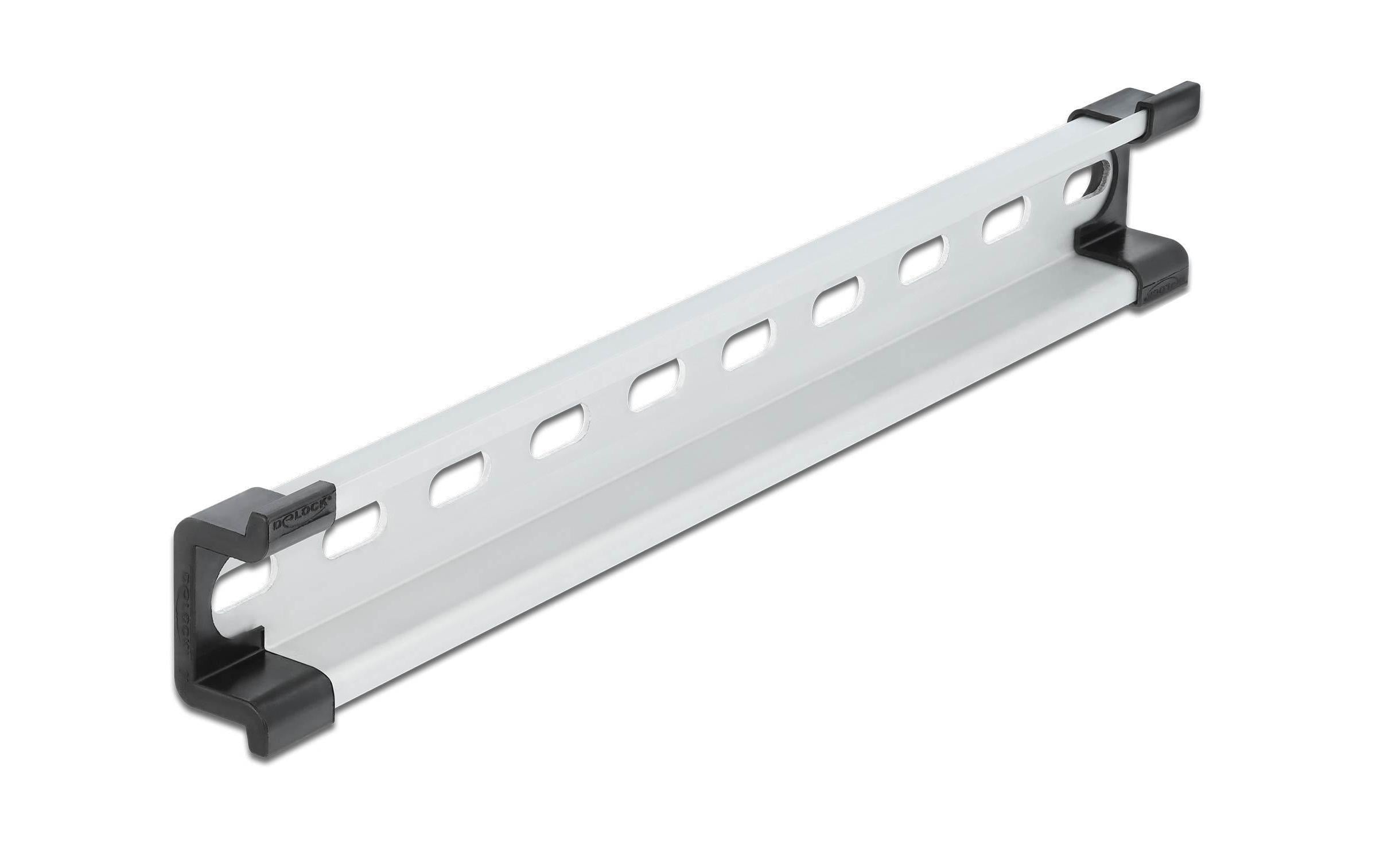 Delock Hutschiene 25cm, mit Schlitzlöcher