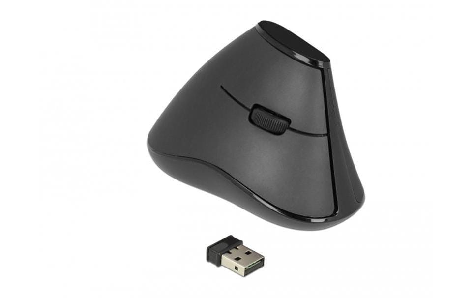 Delock 12622 5 Tasten Maus, 2.4GHz