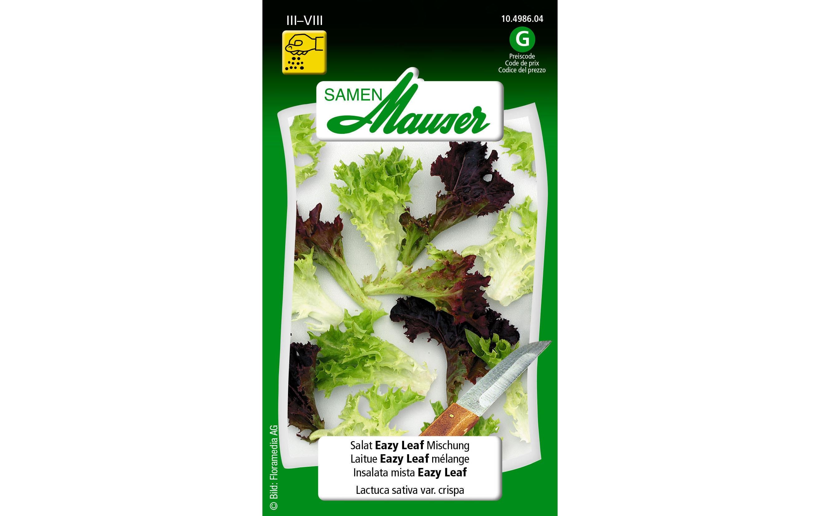 Salat Eazy Leaf Mischung