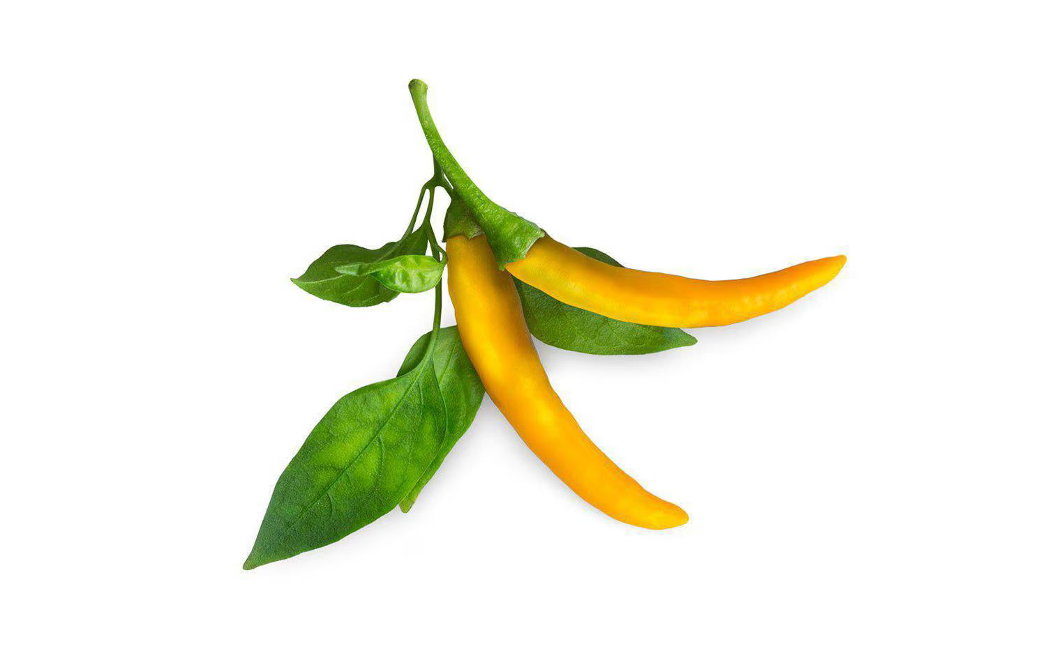 Click and Grow Smart Garden Plant Pod