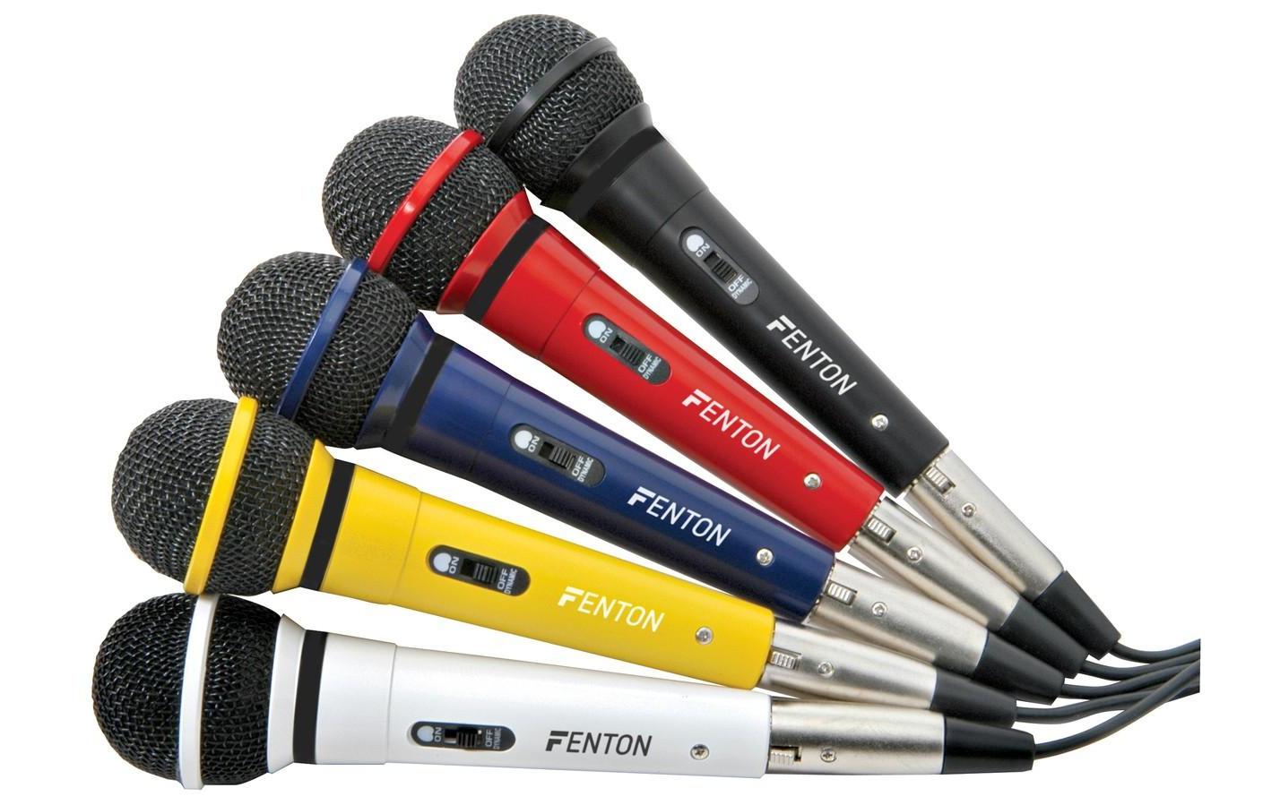 Fenton DM120 Karaoke Set