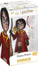 MINIX Harry Potter Quidditch