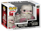 FUNKO POP IT Welcome to Derry Pickle Dad 1857