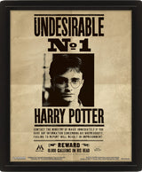 Quadro 3D Harry Potter Wanted