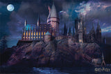 Poster Maxi Harry Potter Hogwarts